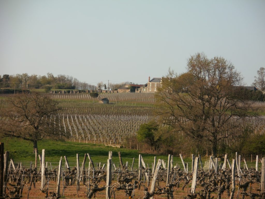 Coteau (vue Sud) - avril 2012